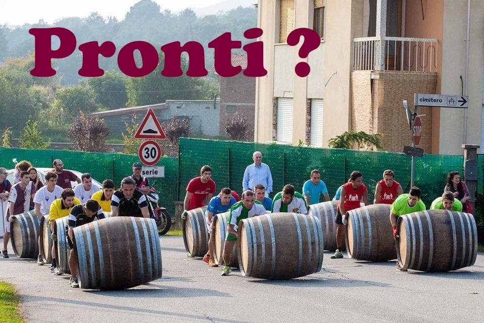Maggiora 2014 (50)